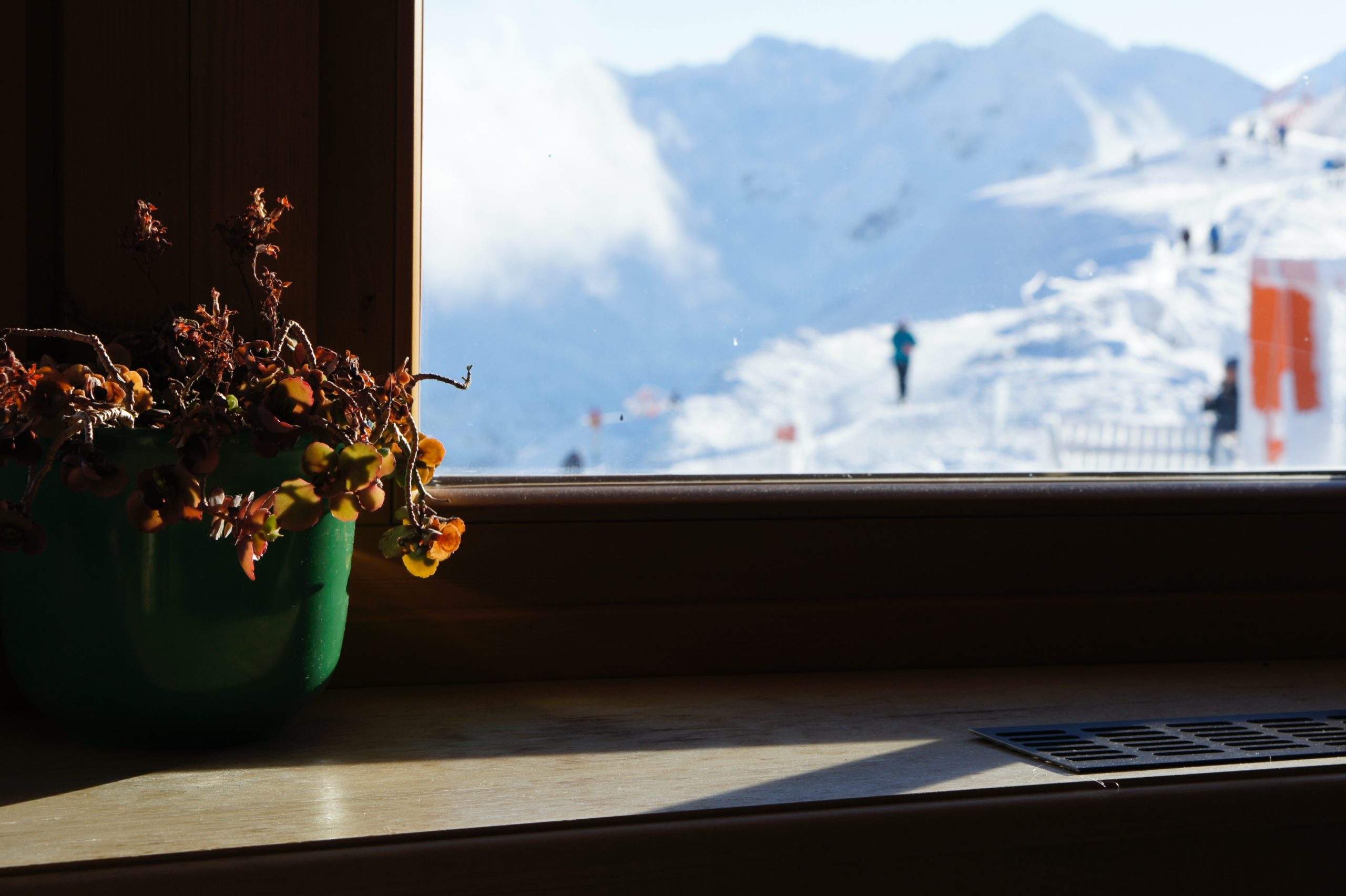 flower on windowsill. looking out at the mountain with snow