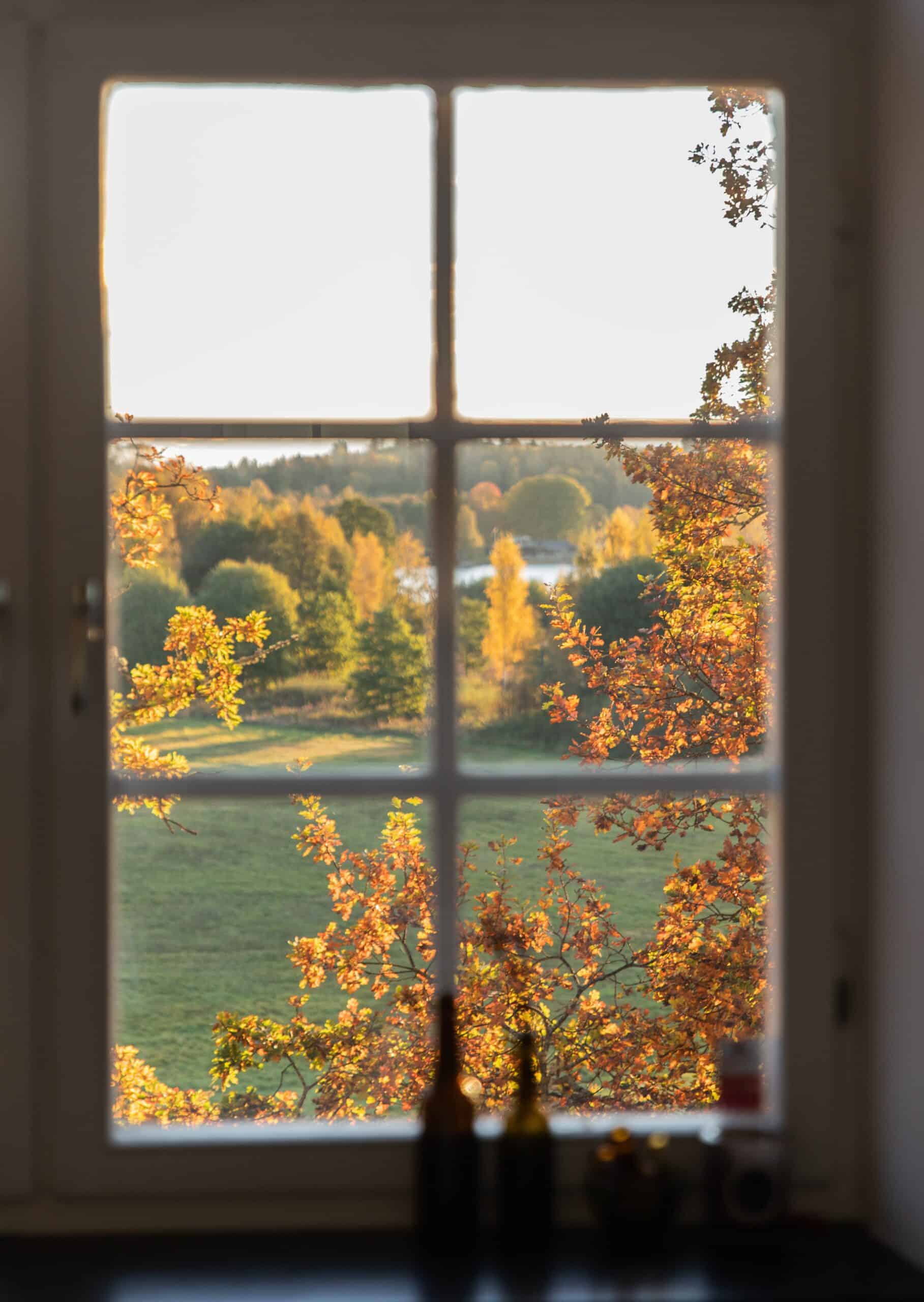 window looking out at a fall landscape
